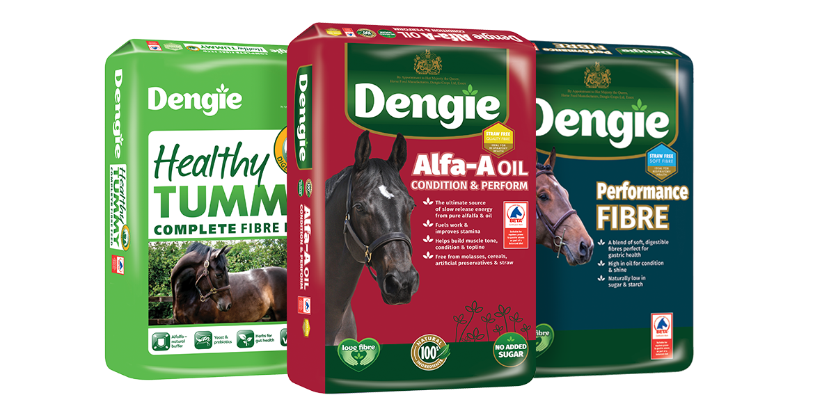 Feeding Horses with Ulcers – Facts not Fiction!